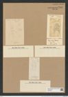 Chaetoceros compressus Lauder (de-Toni-Nr.: Genus 149, Species 4132) Zeichnungen Sammlung Grunow Nr. 7687 (NHMW-BOT-W0376884)